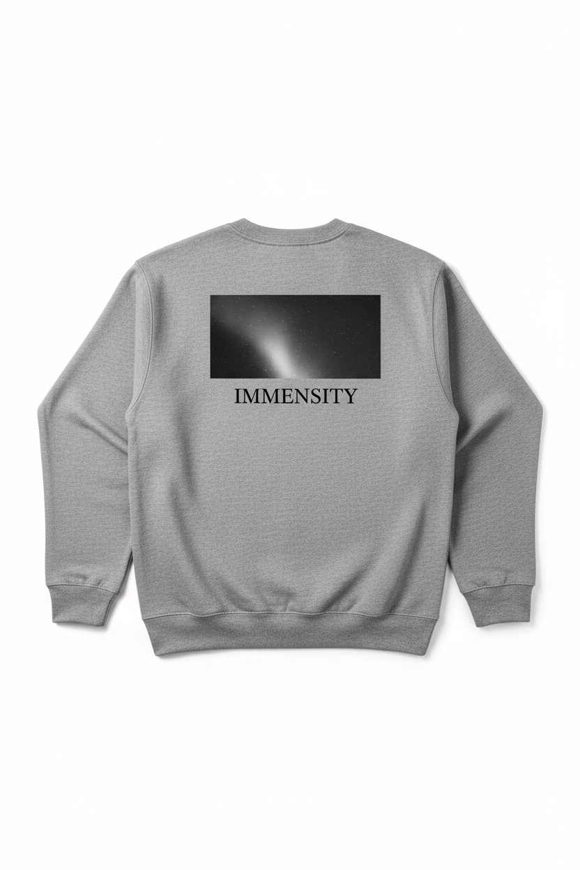 Grey sweatshirt with cosmic design and IMMENSITY in newsletter serif font