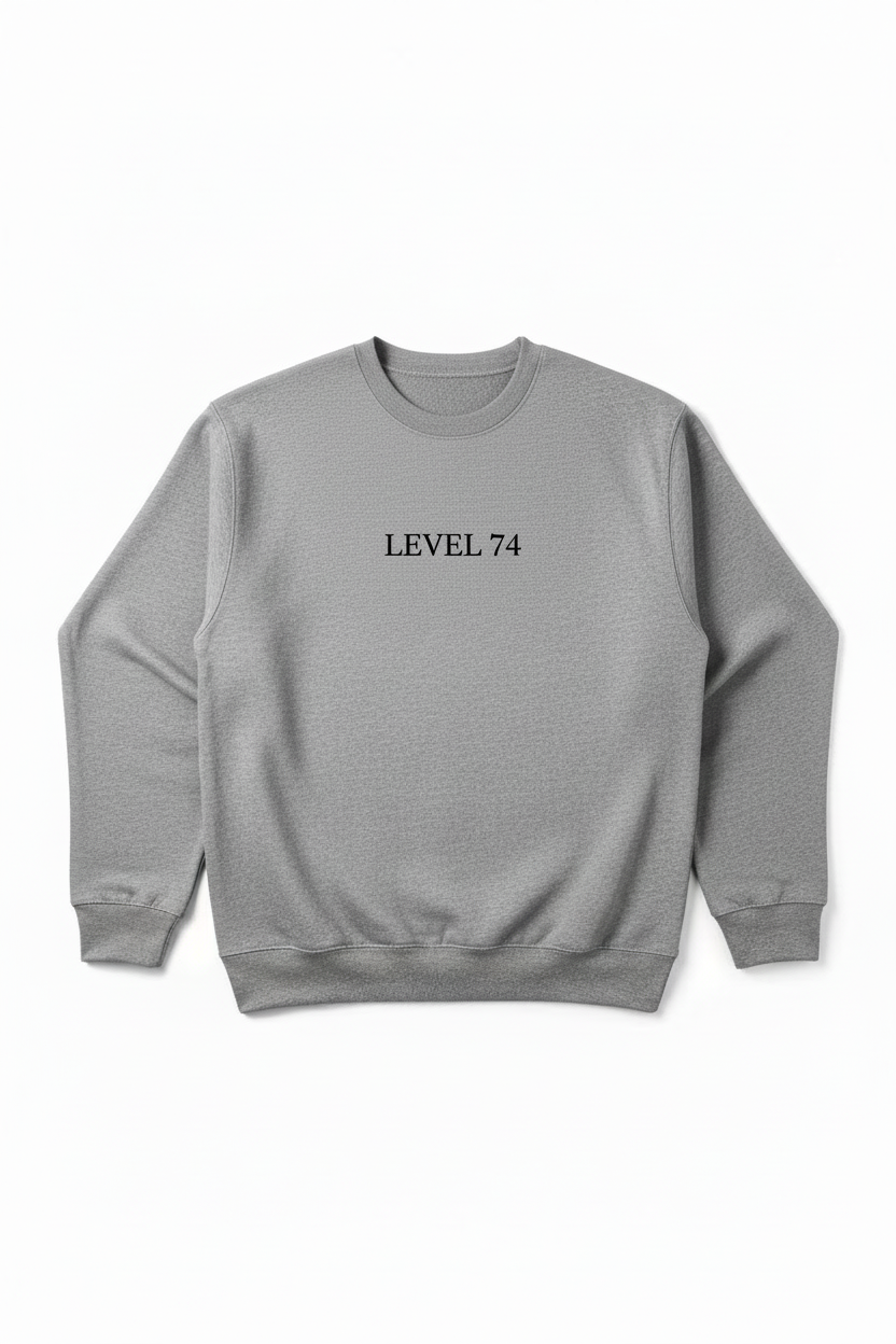 IMMENSITY sweatshirt front view with LEVEL 74 text